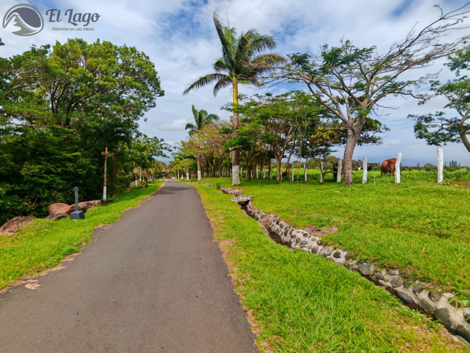 Luxury Estate w/ 8 BD, 9 BA, Private Forest, and Development Potential photo 107