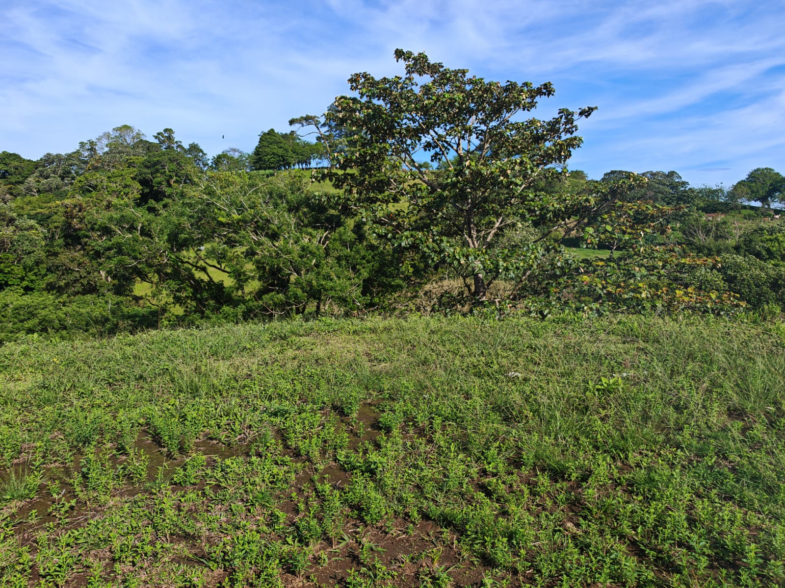 Lake & Volcano View Lot 3644 M2 (0.90 Acre) In Vistas del Lago photo 7