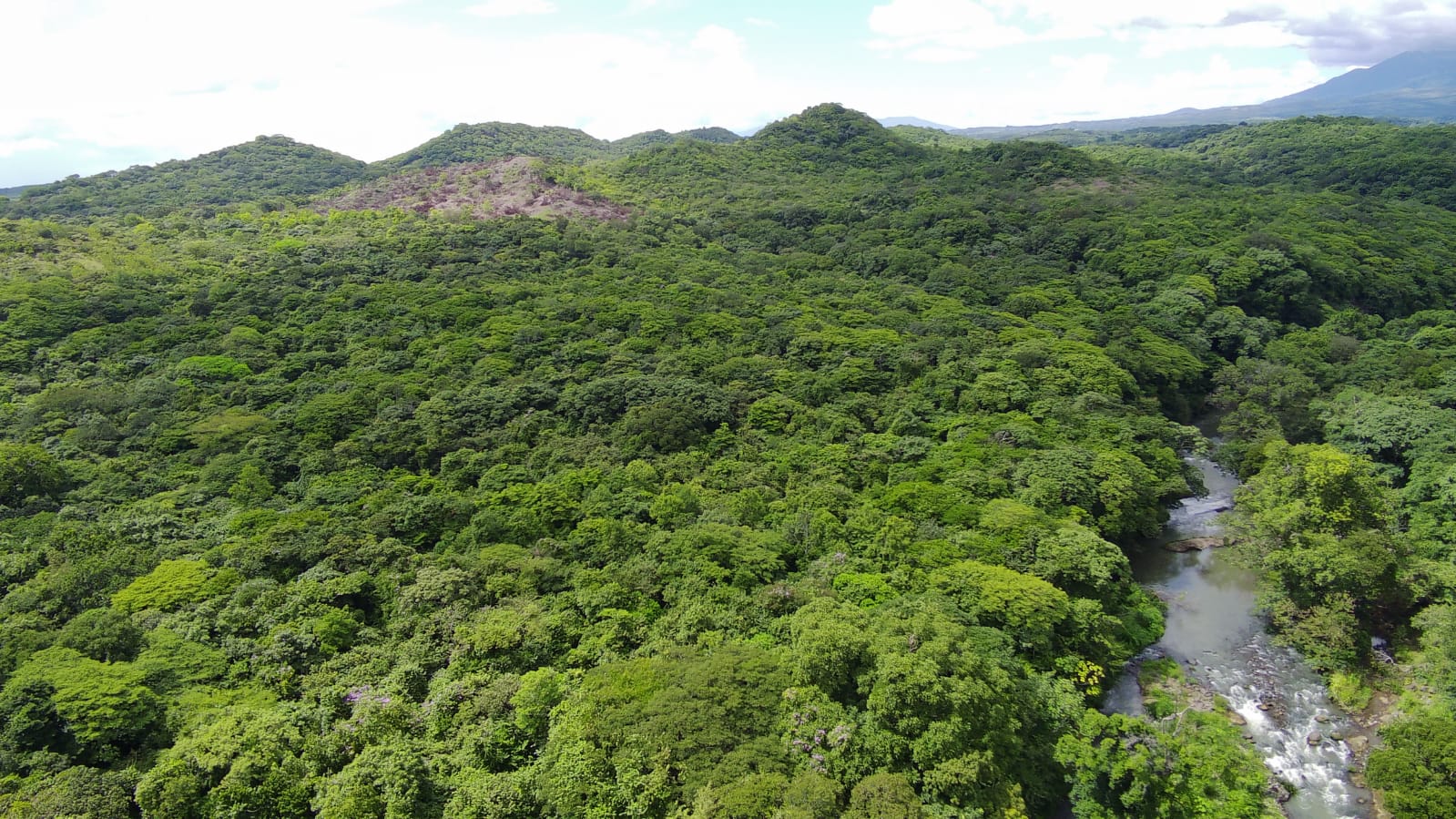 450-Hectare Estate w/ Nature Reserve, Three Homes & Rivers in Guanacaste photo 63