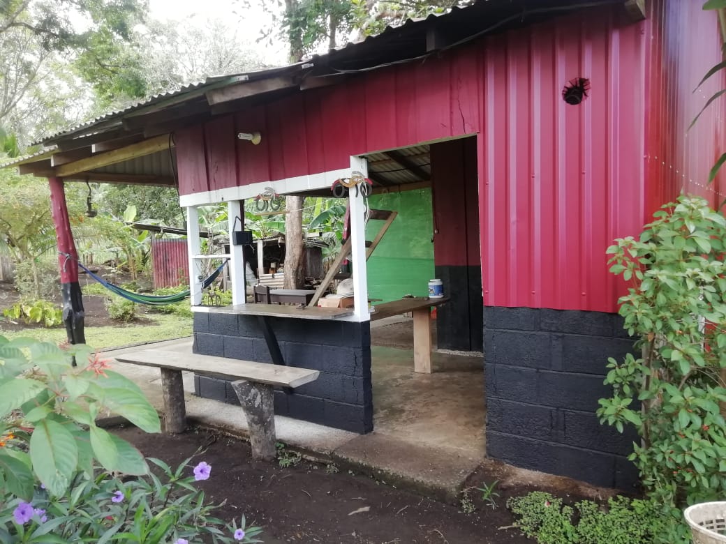 Expansive 30,229 m² (7.46 Acre) Lot w/ House & Scenic Views in Tierras Morenas photo 39