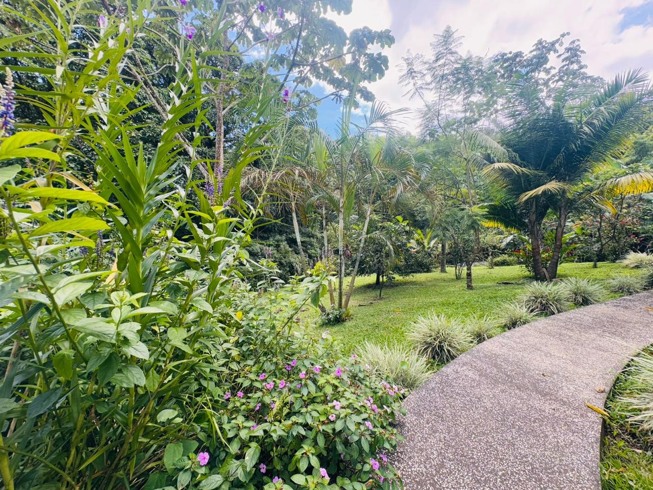 Lake & Volcano View Estate with Pool, Jacuzzi & Apt In El Aguacate photo 37