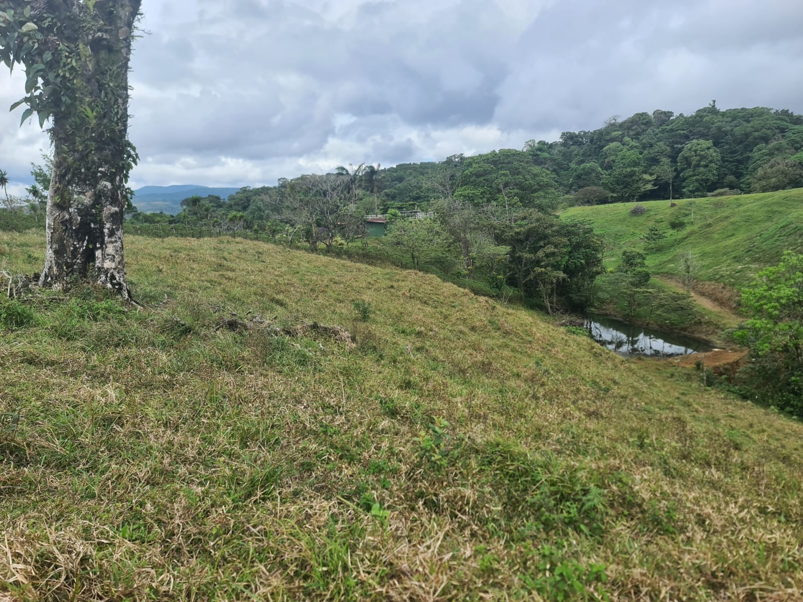 46,600 m2 (11,5 acres) Lot with Amazing Lake View in Nuevo Arenal photo 17