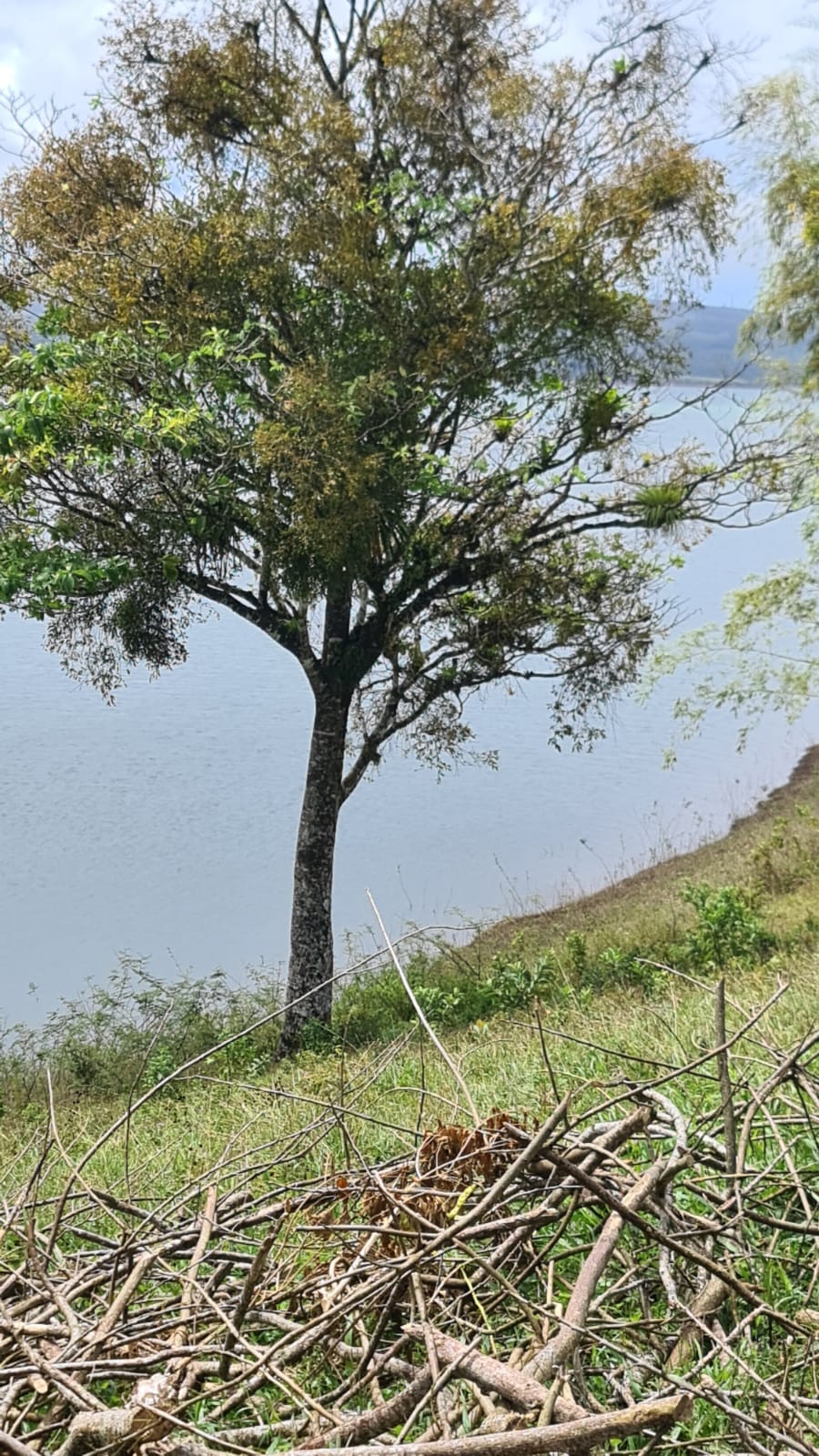 Beautiful, LAKE ACCESS property in Parcelas Santa Maria, Nuevo Arenal  photo 26