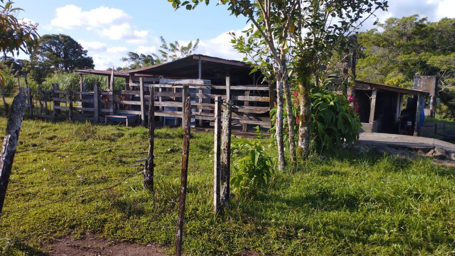 16-Hectare Farm with a Private Well and Views of Lake Arenal in Nuevo Arenal photo 39