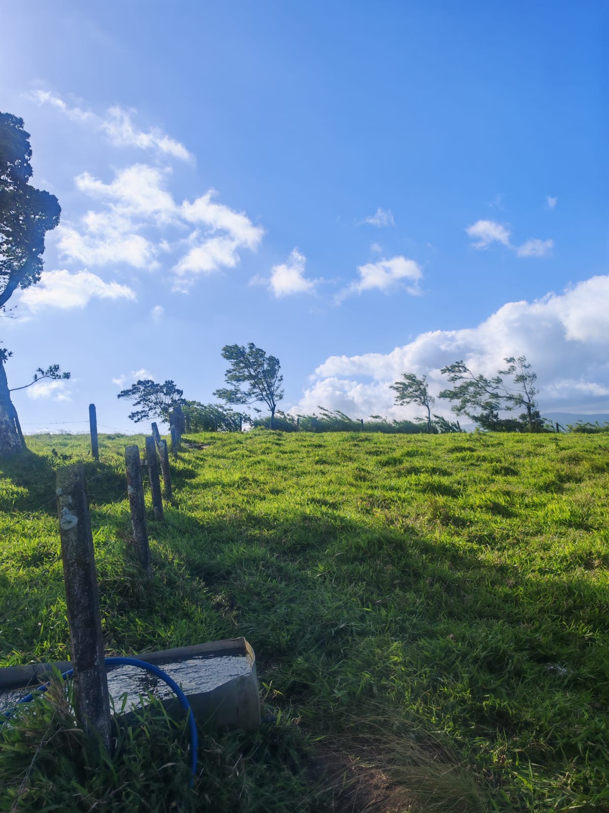 Beautiful Lot of 5642 m2 (1.39 Acre) with Lake View in San Luis  photo 6