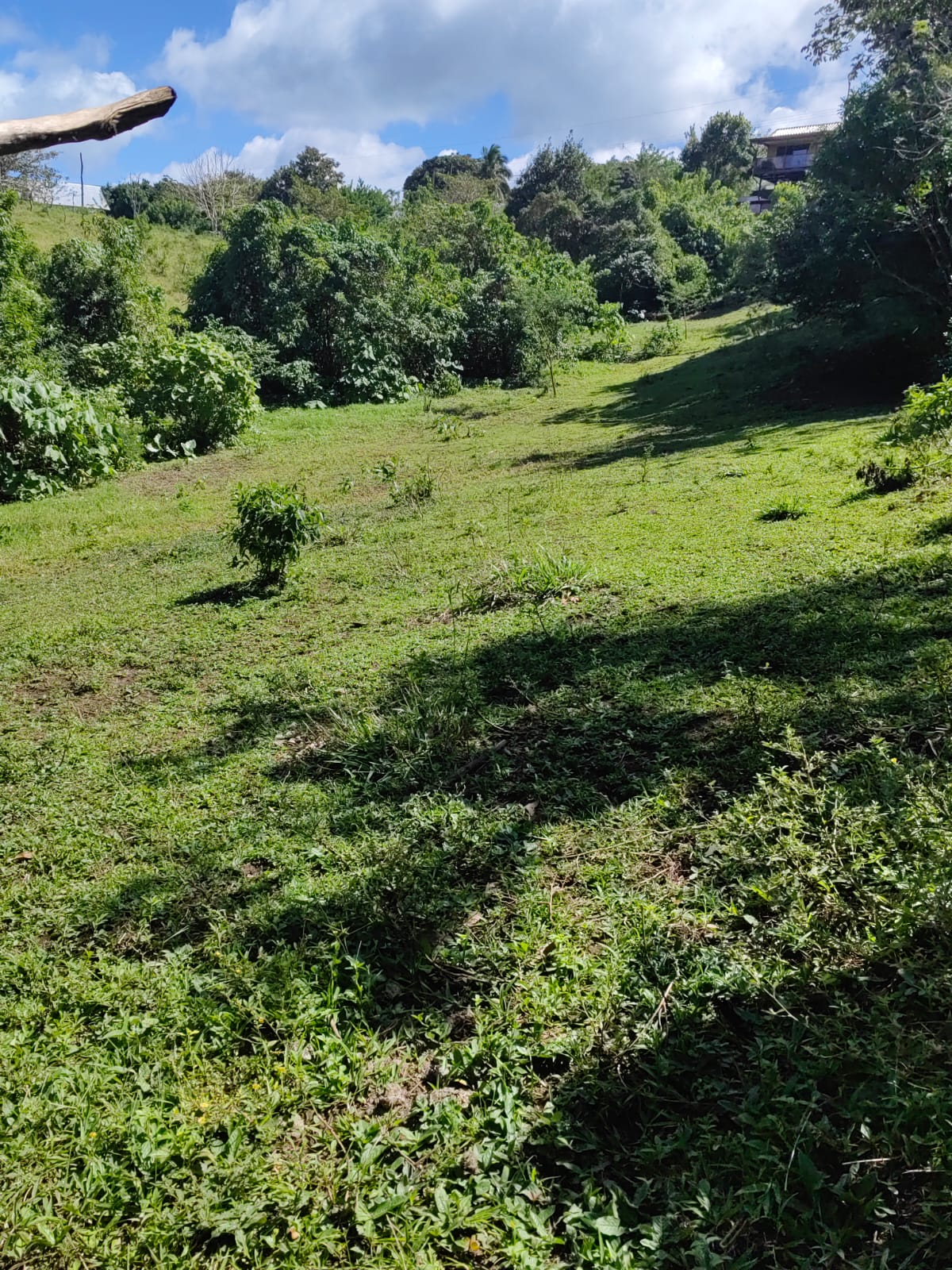 Large Lake view lot of 12,159 square meters in San Luis, Tilarán  photo 11