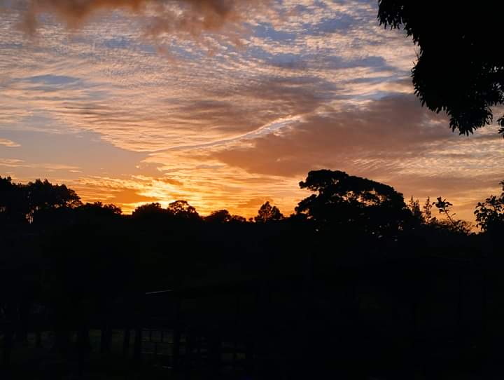 Expansive 30,229 m² (7.46 Acre) Lot w/ House & Scenic Views in Tierras Morenas photo 43