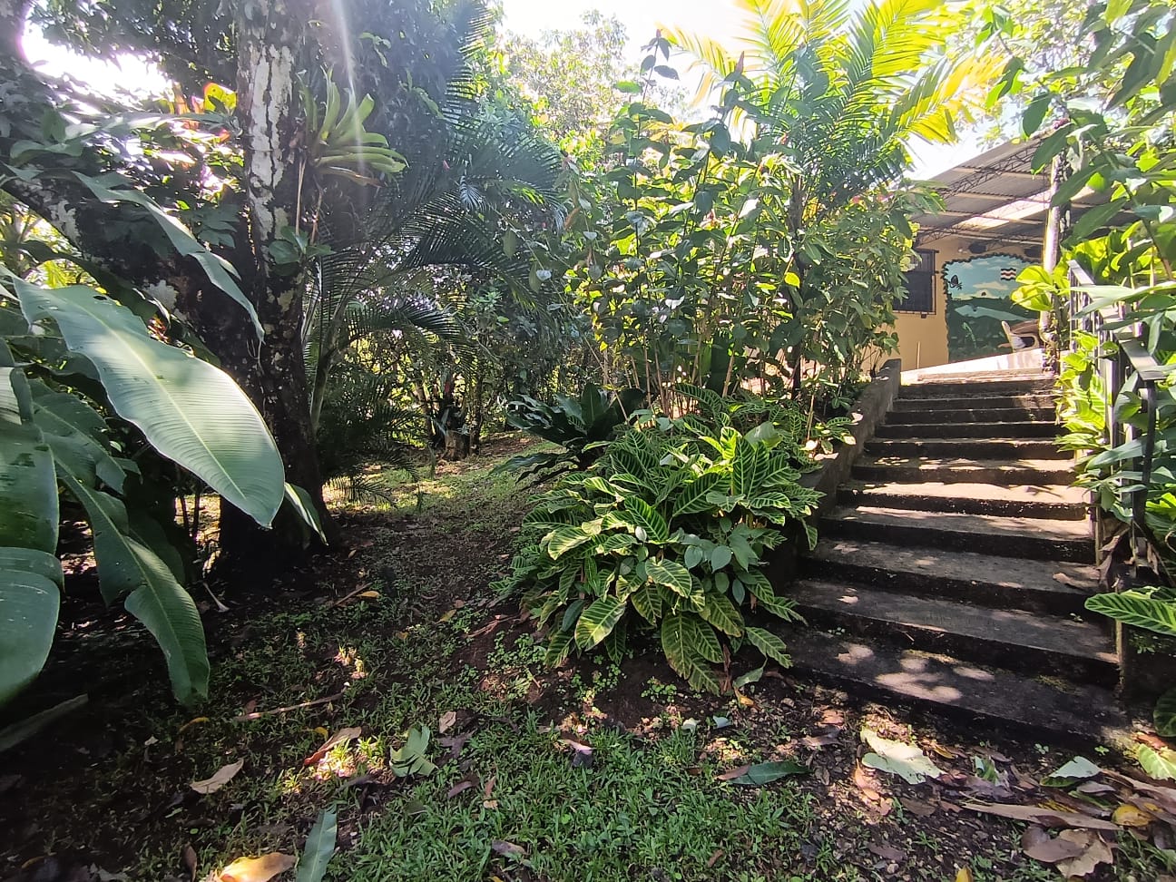 Beautiful Home 2BD 1BA in a 19424.9 m2 (4.8 Acre) Lot w/ Private Spring  photo 19