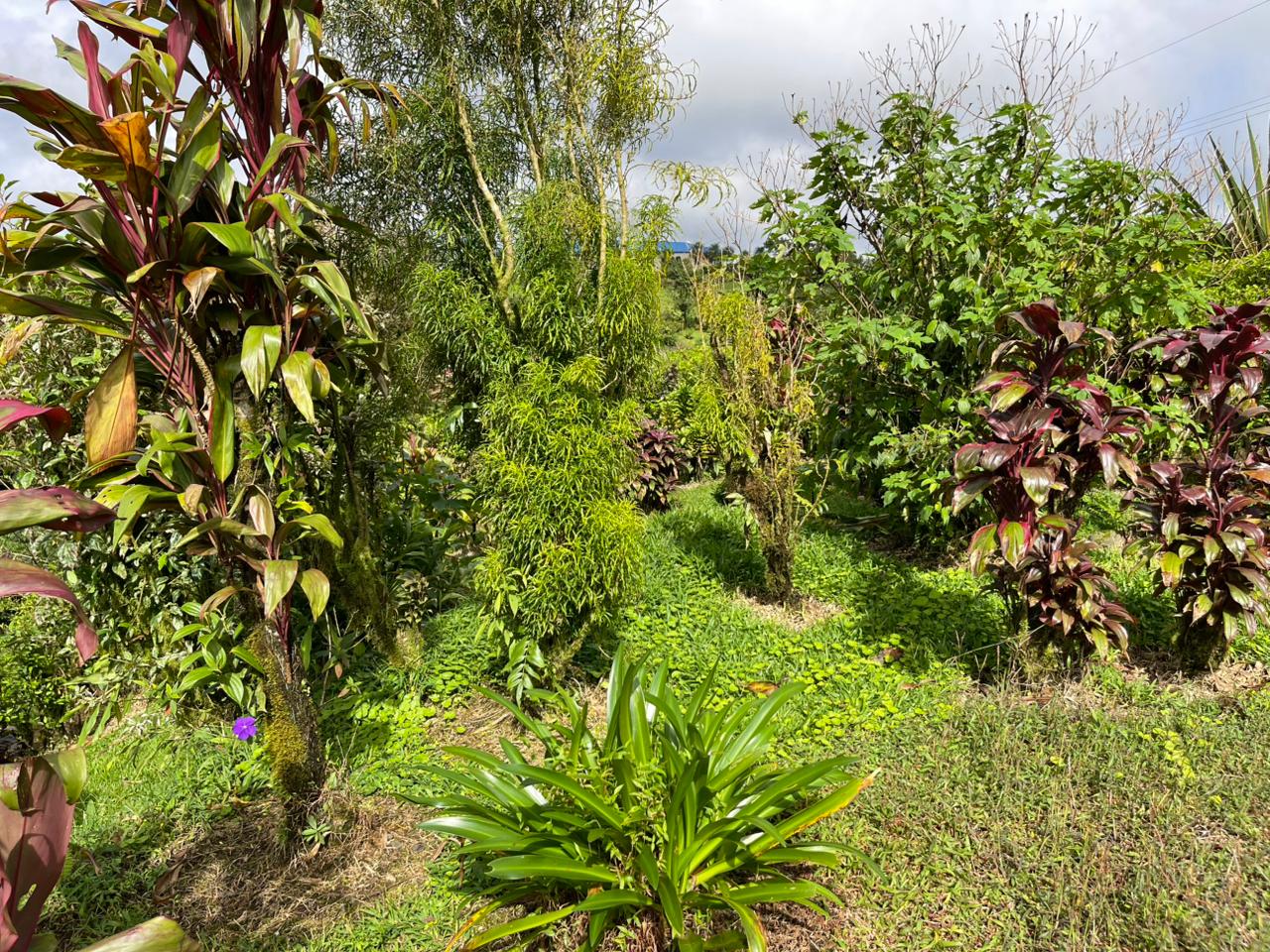 Charming Home in Bella Vista – Spacious Living with Stunning Views photo 40