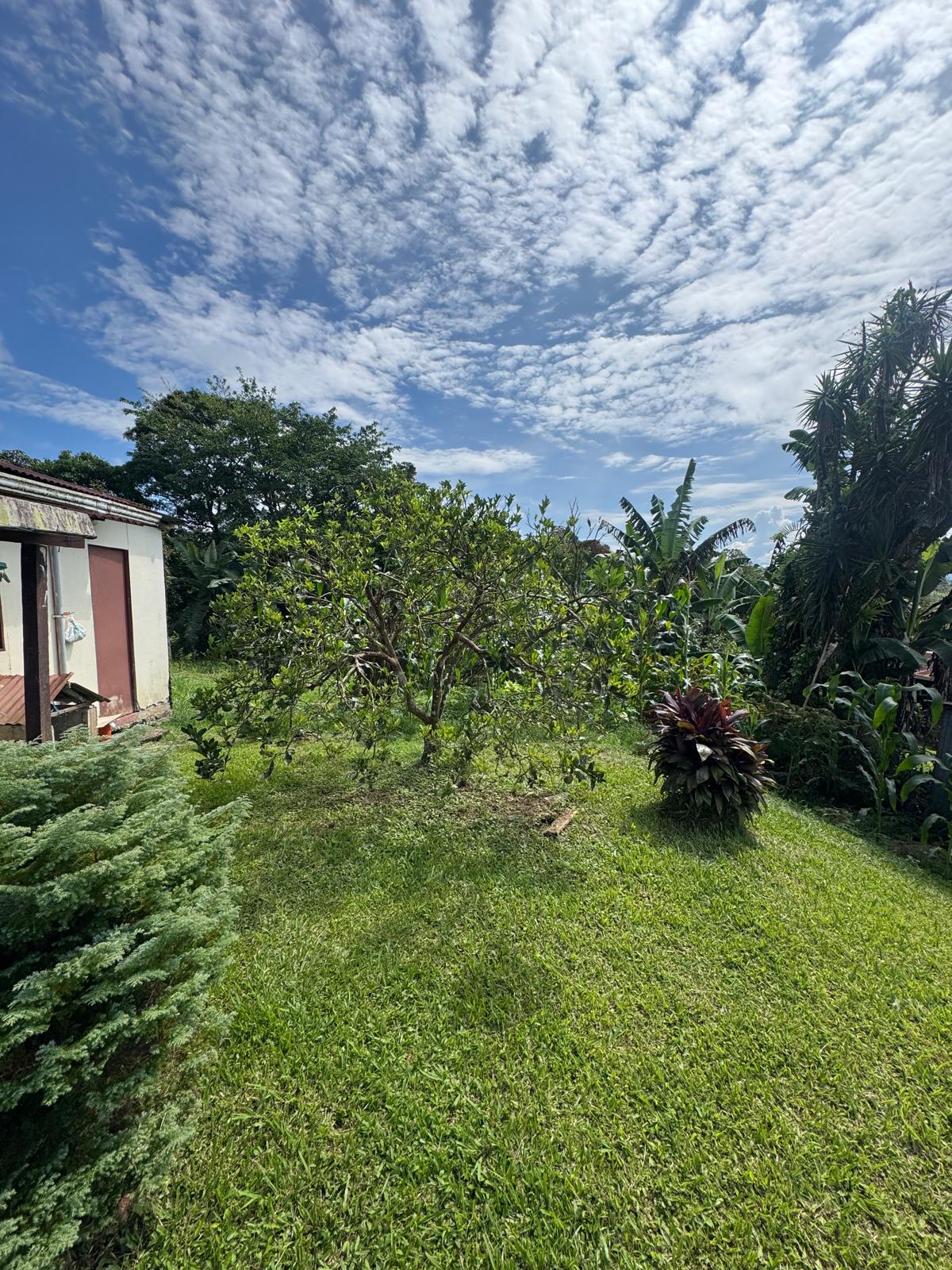 Spacious Home with Lake View and Guest Apartment in Nuevo Arenal photo 17