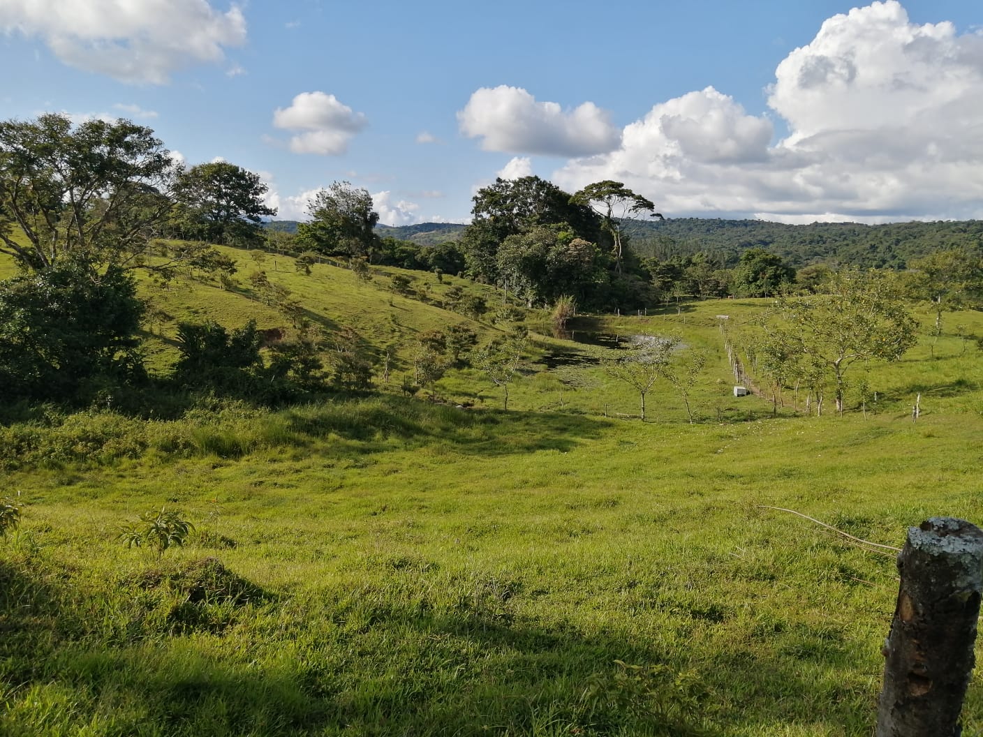 16-Hectare Farm with a Private Well and Views of Lake Arenal in Nuevo Arenal photo 23