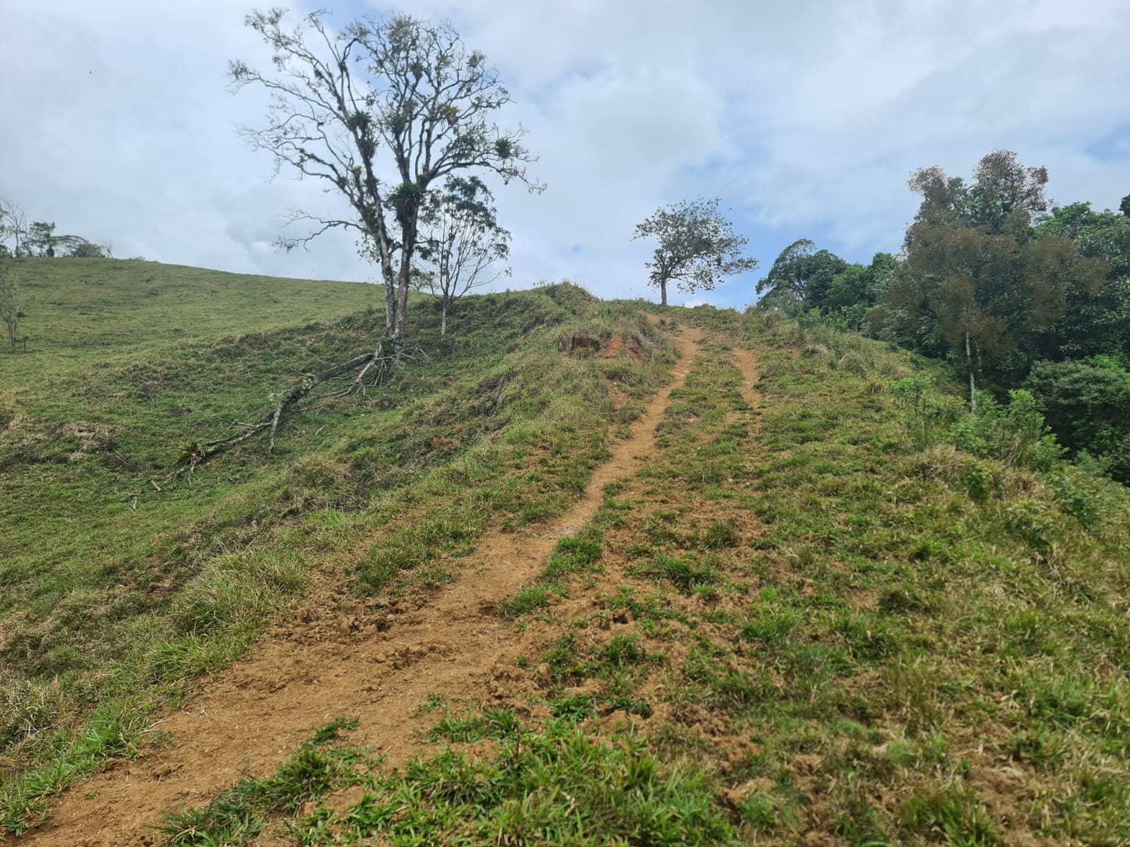 46,600 m2 (11,5 acres) Lot with Amazing Lake View in Nuevo Arenal photo 12