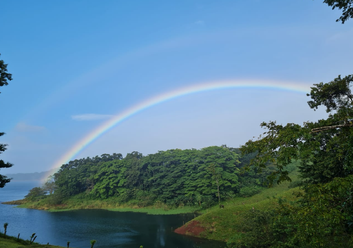 Villa Corazón: Luxury 4BD, 3.5BA Home + 3BD, 3.5BA GuestHouse w/ LAKE ACCESS photo 45