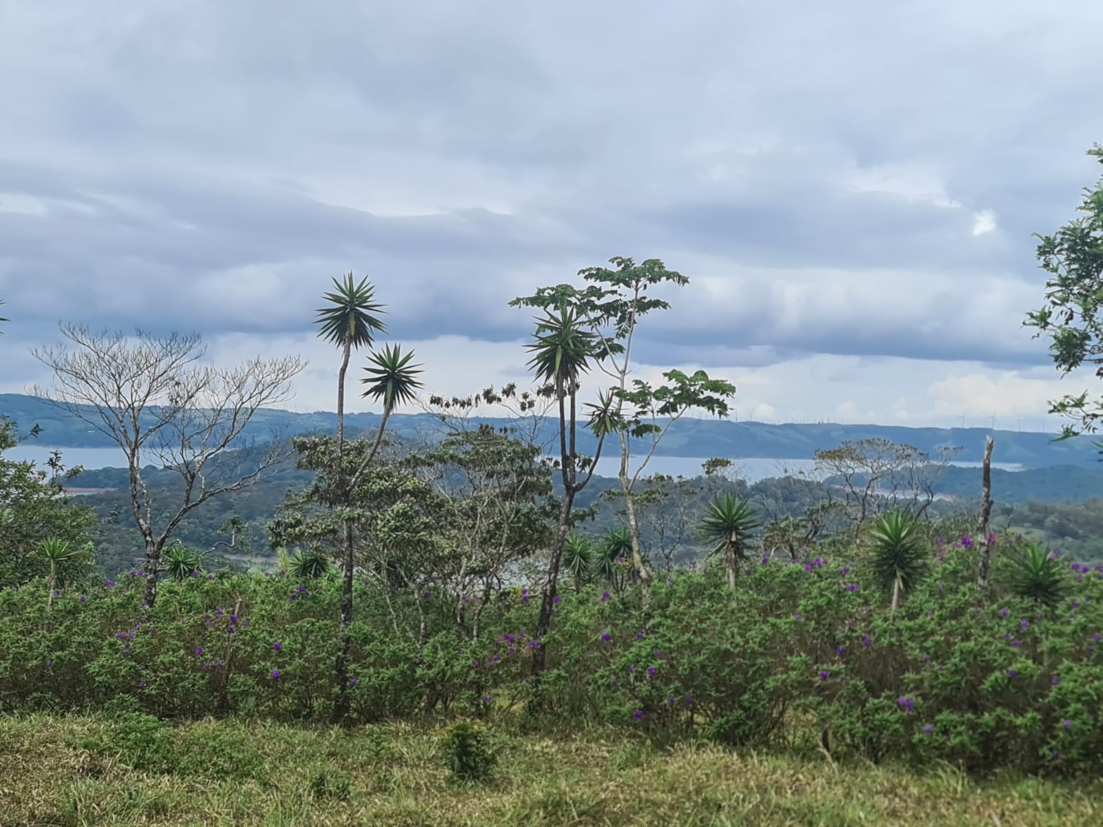 46,600 m2 (11,5 acres) Lot with Amazing Lake View in Nuevo Arenal photo 15