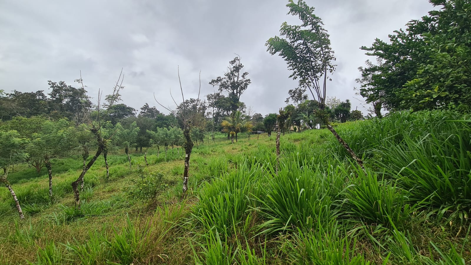 Beautiful, LAKE ACCESS property in Parcelas Santa Maria, Nuevo Arenal  photo 38