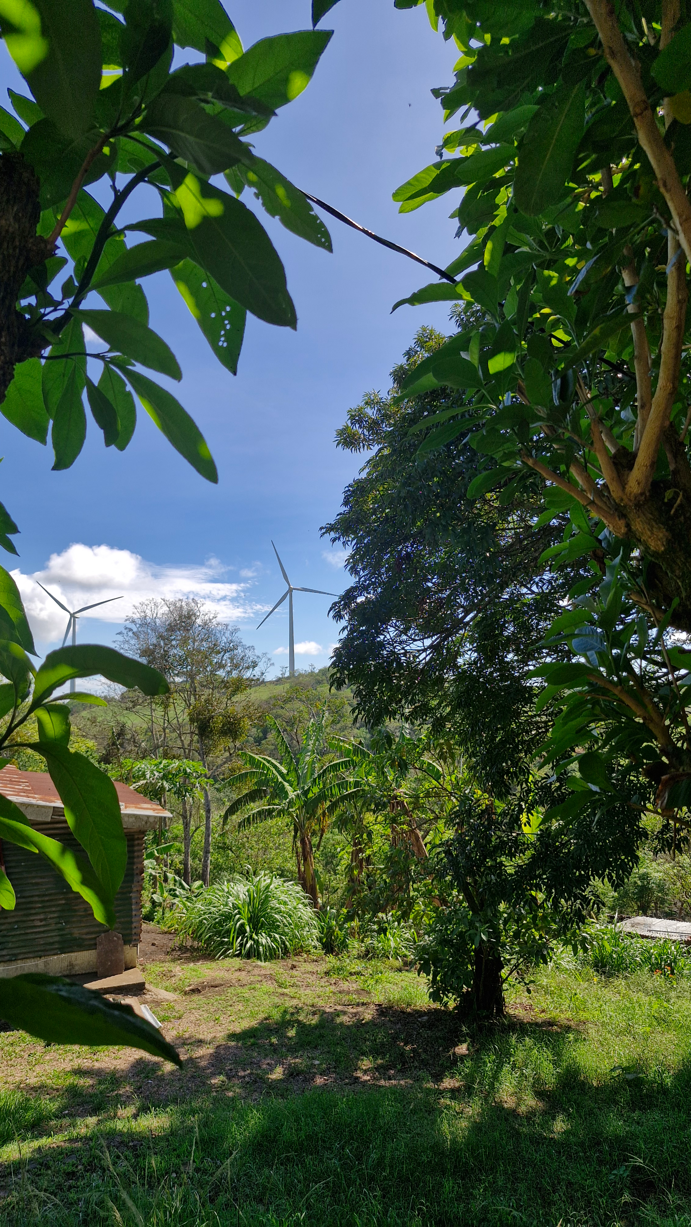 Lovely Home 4BD/2BA With Wind farms views in Parcelas de Quebrada Azul  photo 29