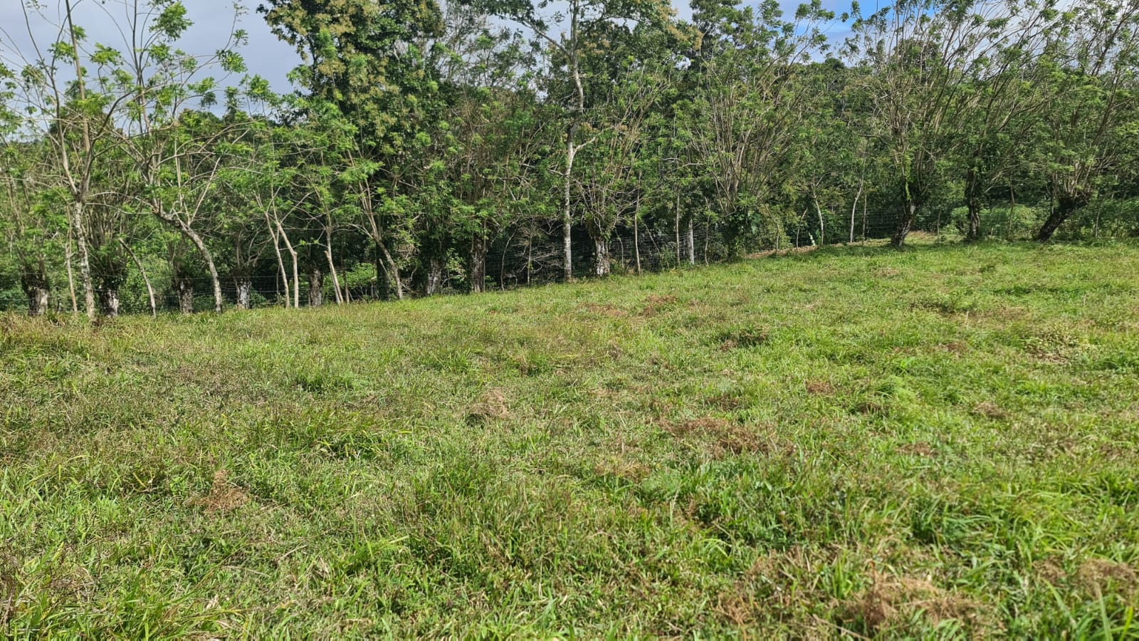 Fabulous, 5000 m2, Lake View Lot near Downtown Nuevo Arenal photo 9