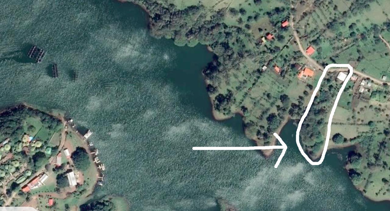 Lakeview Home 4BD 2BAw/ Lake Access, Development Potential & BMW  photo 28