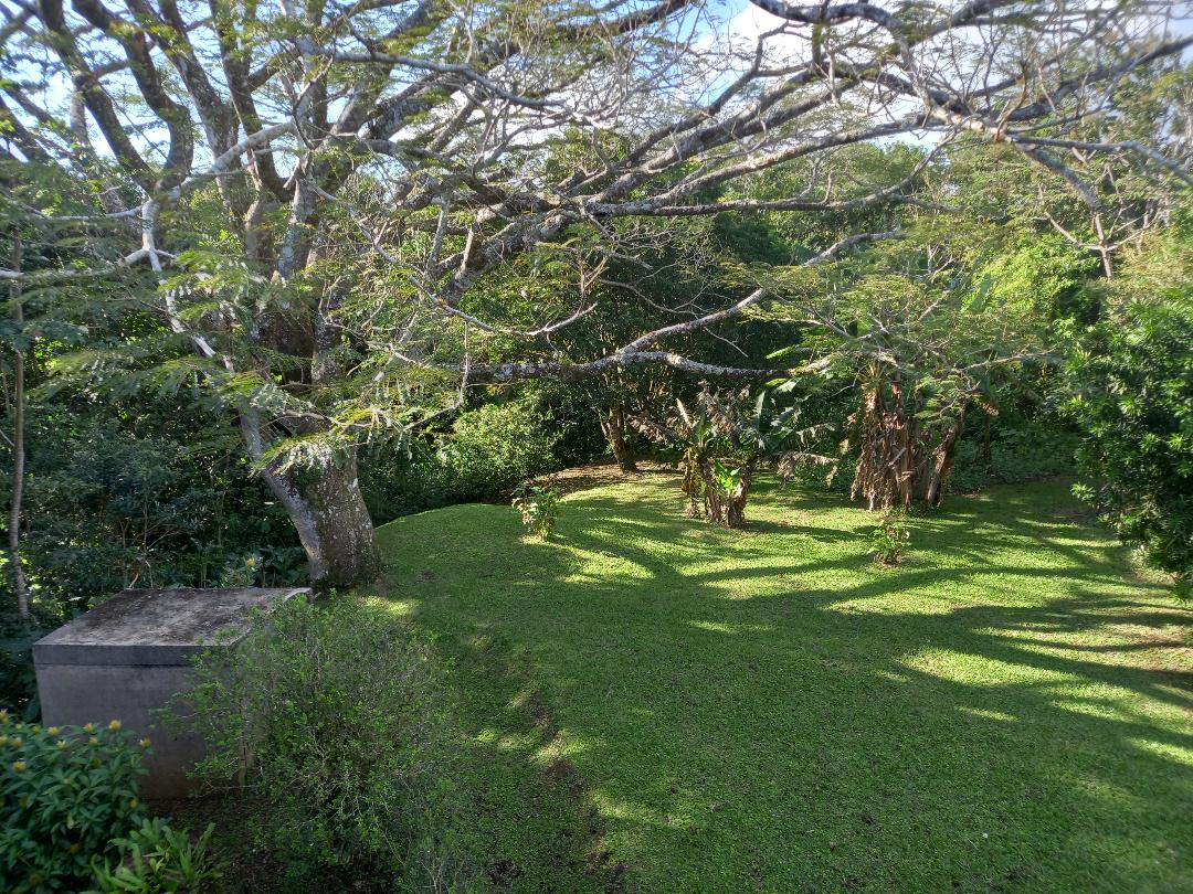 Tranquility Defined – Stunning Home with Lake & Volcano Views on 8.2 Acres photo 29