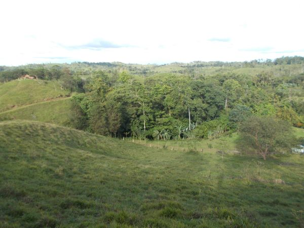 168 acres (68 hectares) of natural peace and tranquility with four cabins photo 21