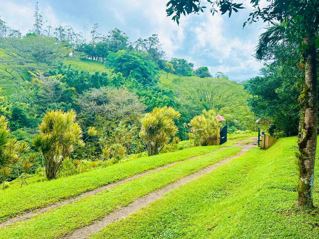 Spacious Home with Guest House, Stunning Views & Natural Beauty In Rio Piedras  photo 37