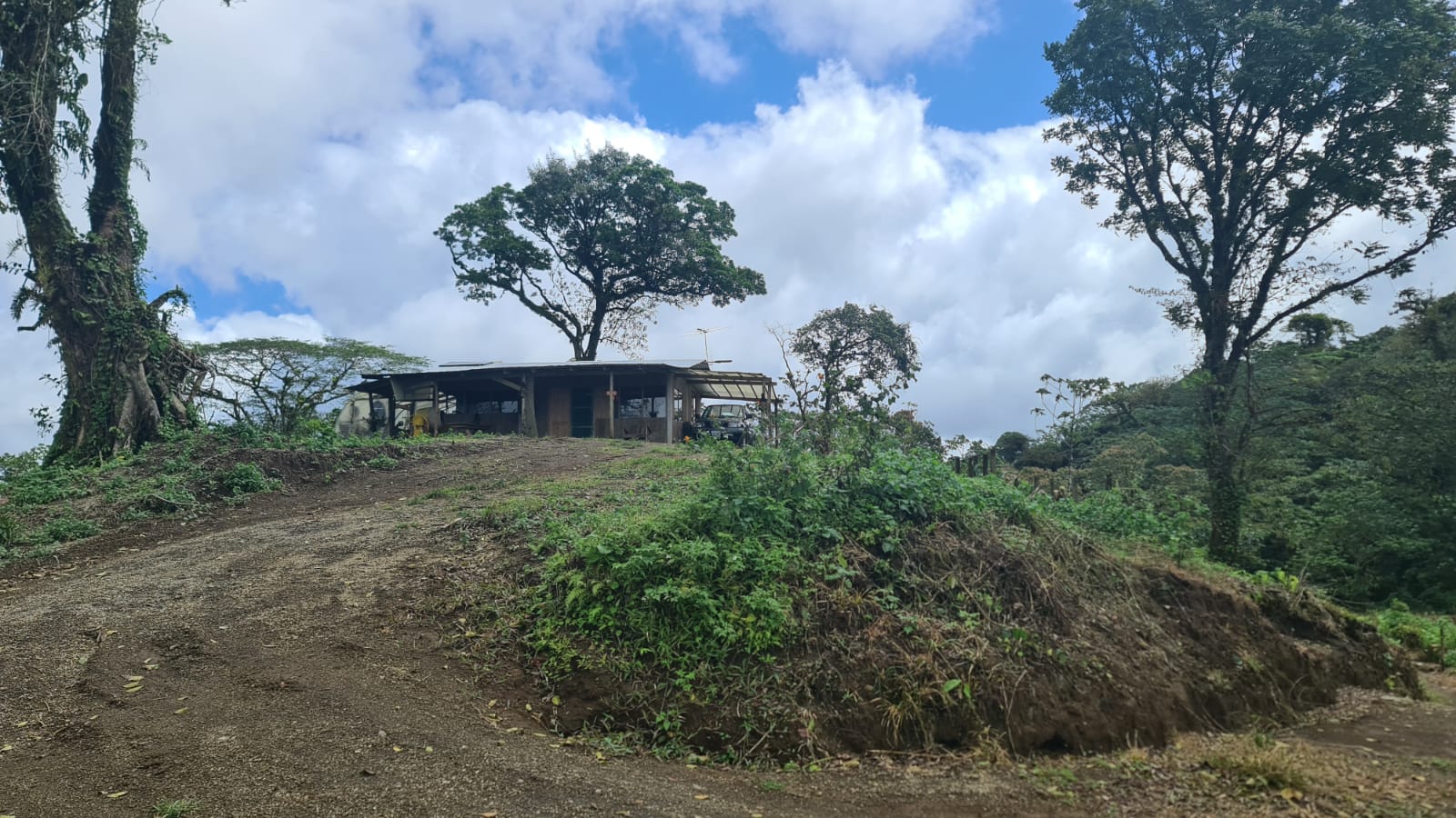 33 Hectare (81.5 acre) Property with Volcano Views in San Carlos, Alajuela photo 15