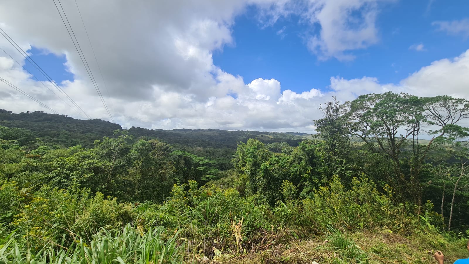 33 Hectare (81.5 acre) Property with Volcano Views in San Carlos, Alajuela photo 20
