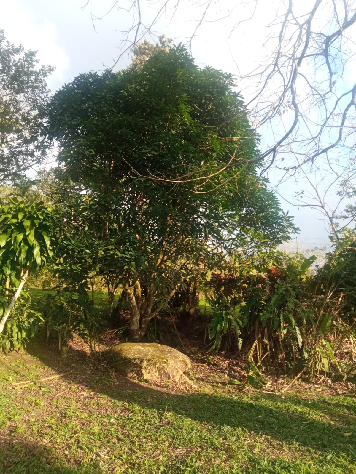 Beautiful, 1407 m2 (0,34 acres) Lot in Parcelas de Quebrada Azul, Tilarán photo 12