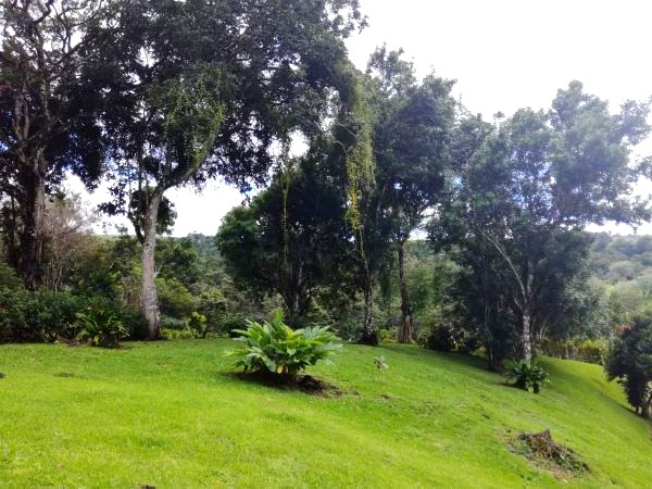 Gorgeous Property with Enormous Income Potential Near Lake Arenal! photo 45