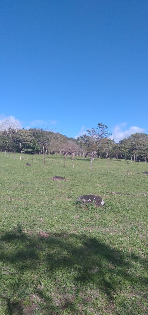 10,000 M2 (2.47 Acre) Lot with Volcano View in Nueva Guatemala photo 14