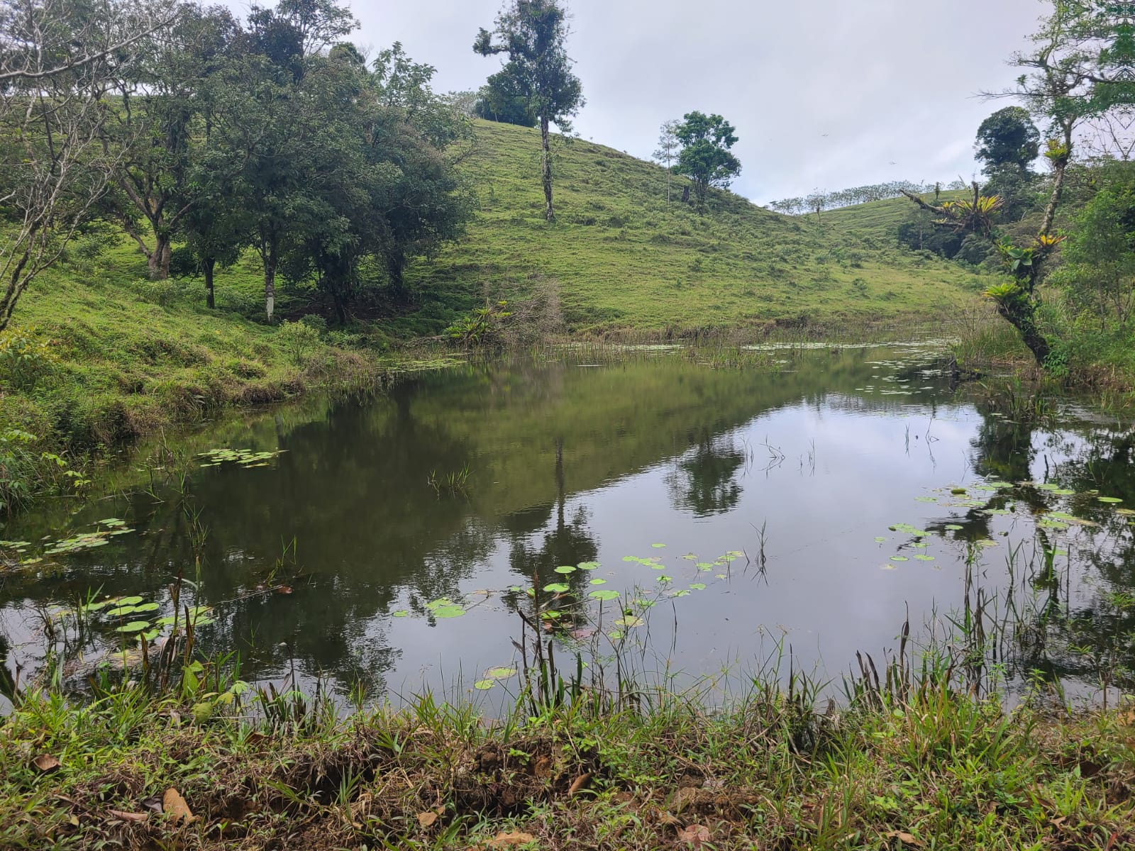 Spectacular 105-Hectare Lot with Lakes, Mountain Views, & Natural Resources  photo 21