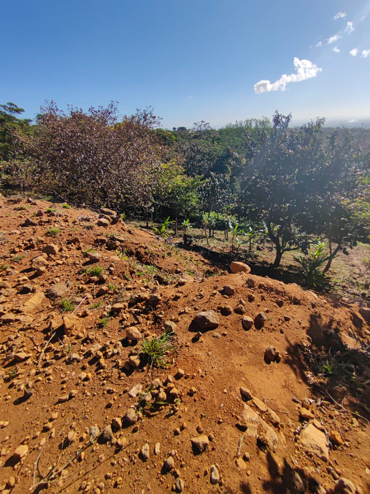 2500 m2 Ready to build / Beautiful Views & Commercial Potential-Nueva Guatemala photo 6