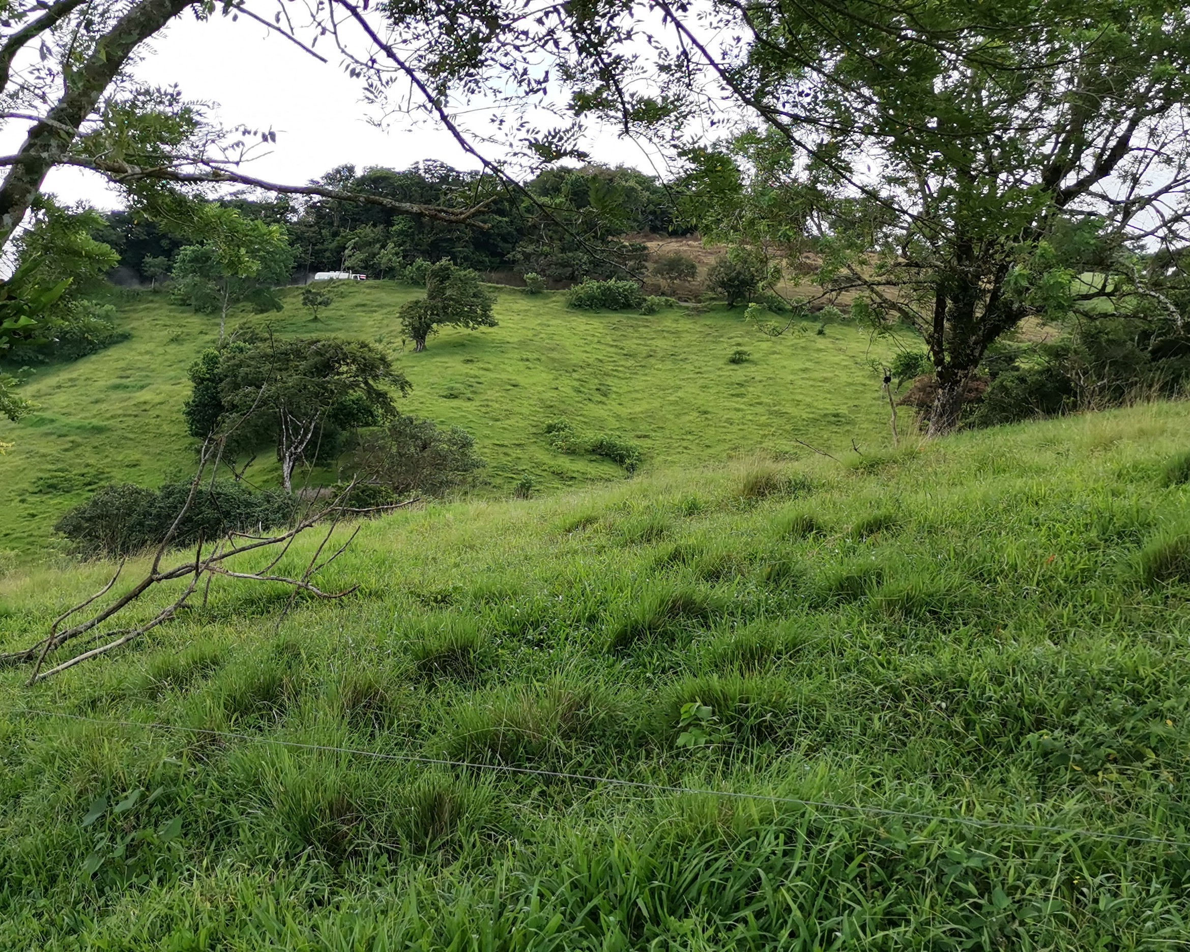 Magnificent 24,811m2 Lake and Volcano View Parcel with Huge Views in Tronadora photo 14