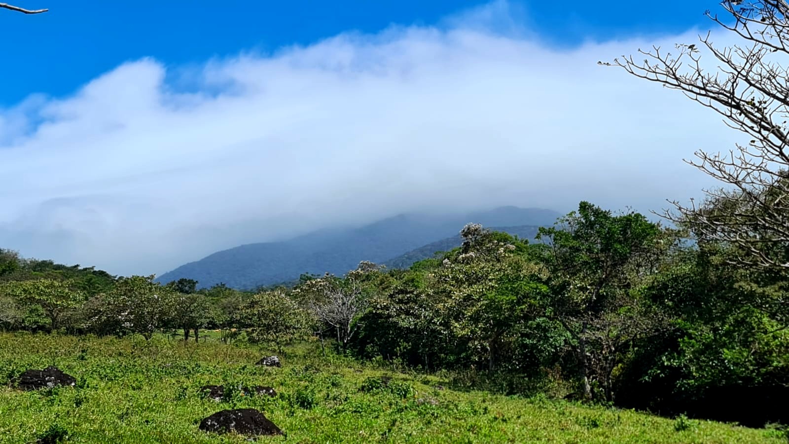 10,000 M2 (2.47 Acre) Lot with Volcano View in Nueva Guatemala photo 6