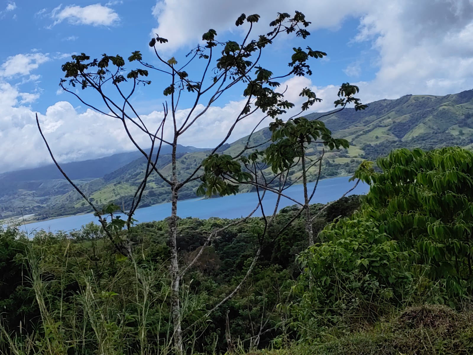 33,691 m² property with Amazing Views and Private Waterfall in La Union  photo 7