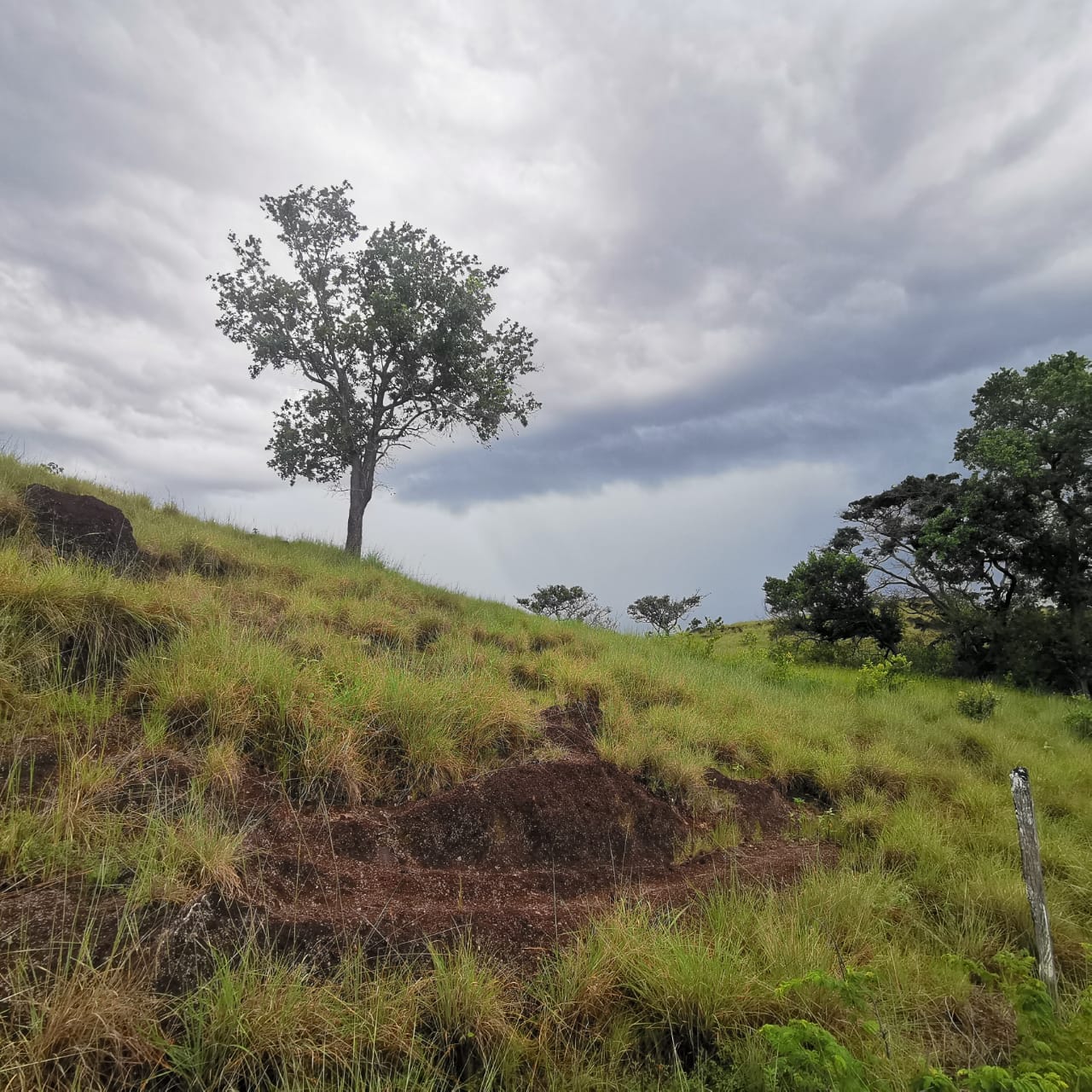 Private 26,000 m² Lot w/ Panoramic Views & Natural Water Source in Bagaces photo 6