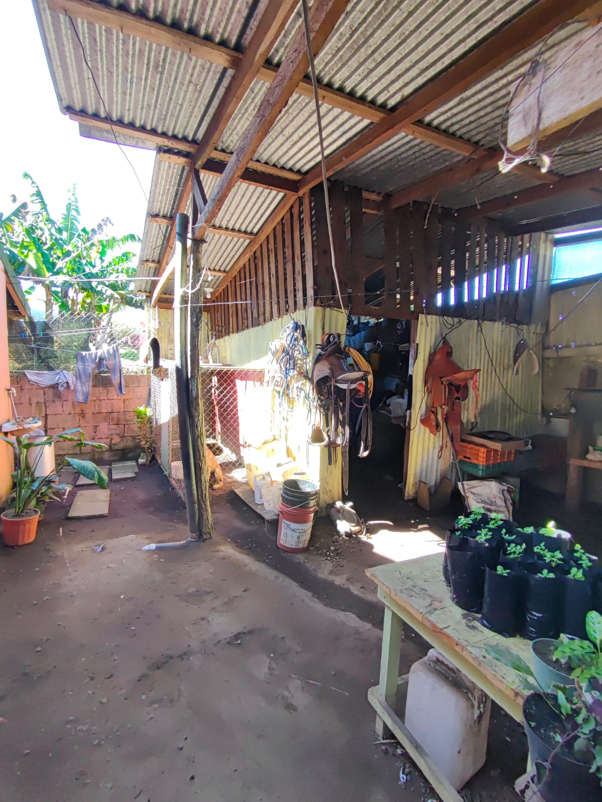 Fantastic Lake View Income Property w/ 3 houses in San Luis, Tilarán photo 22