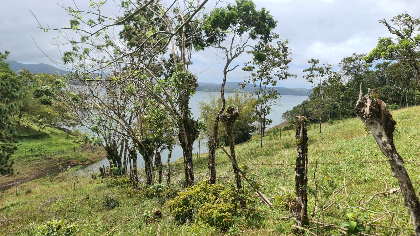 Beautiful, LAKE ACCESS property in Parcelas Santa Maria, Nuevo Arenal  photo 30