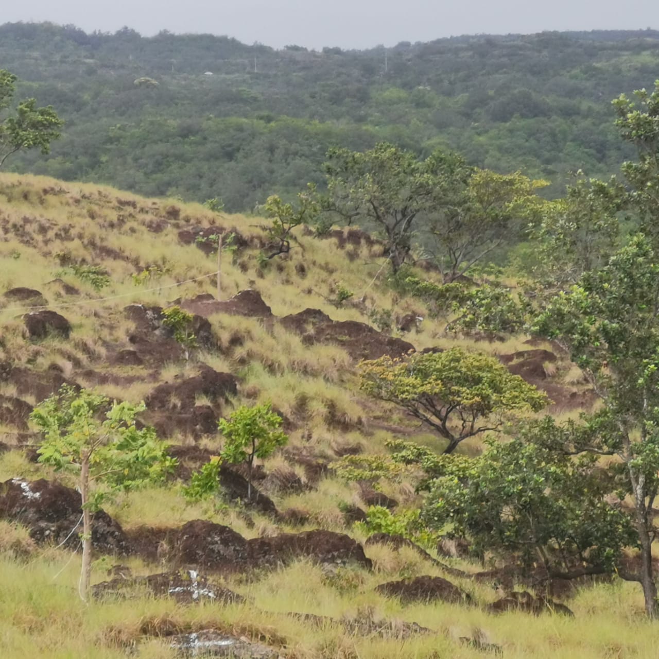 Private 26,000 m² Lot w/ Panoramic Views & Natural Water Source in Bagaces photo 12