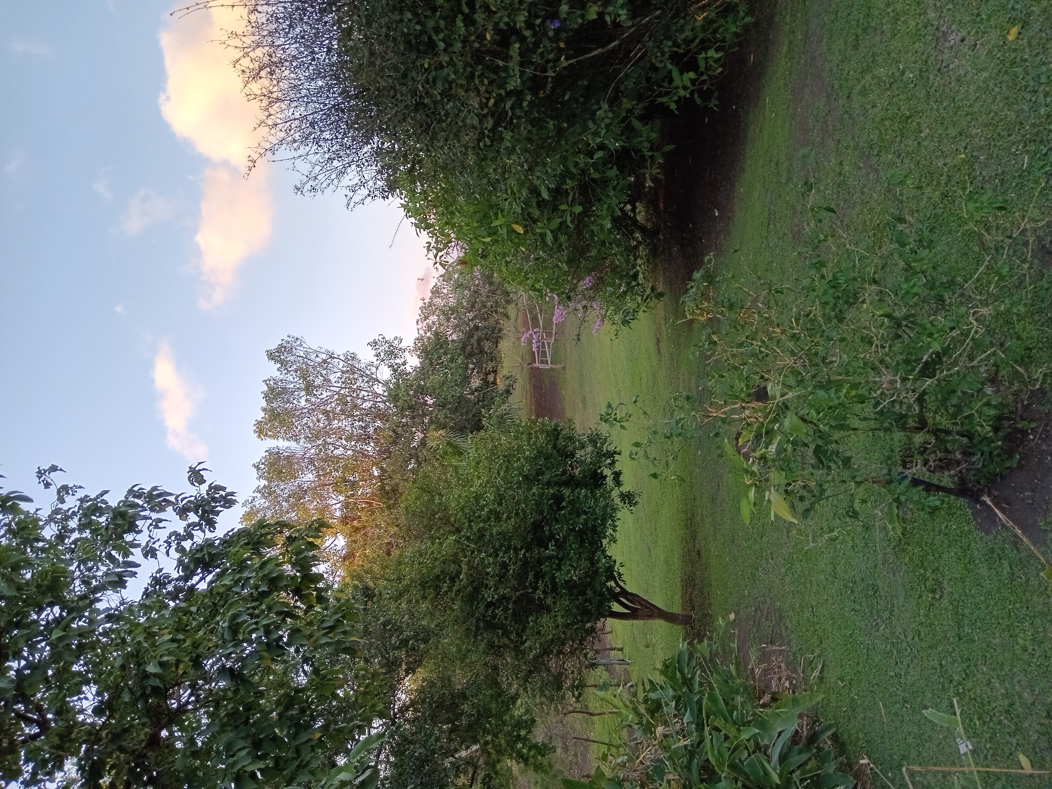 Commercial property: main house + 5 cabins + greenhouse + stable in Cinco Esquinas  photo 69