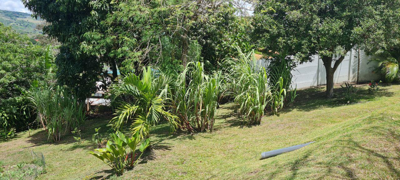 Lakeview Home 4BD 2BAw/ Lake Access, Development Potential & BMW  photo 19