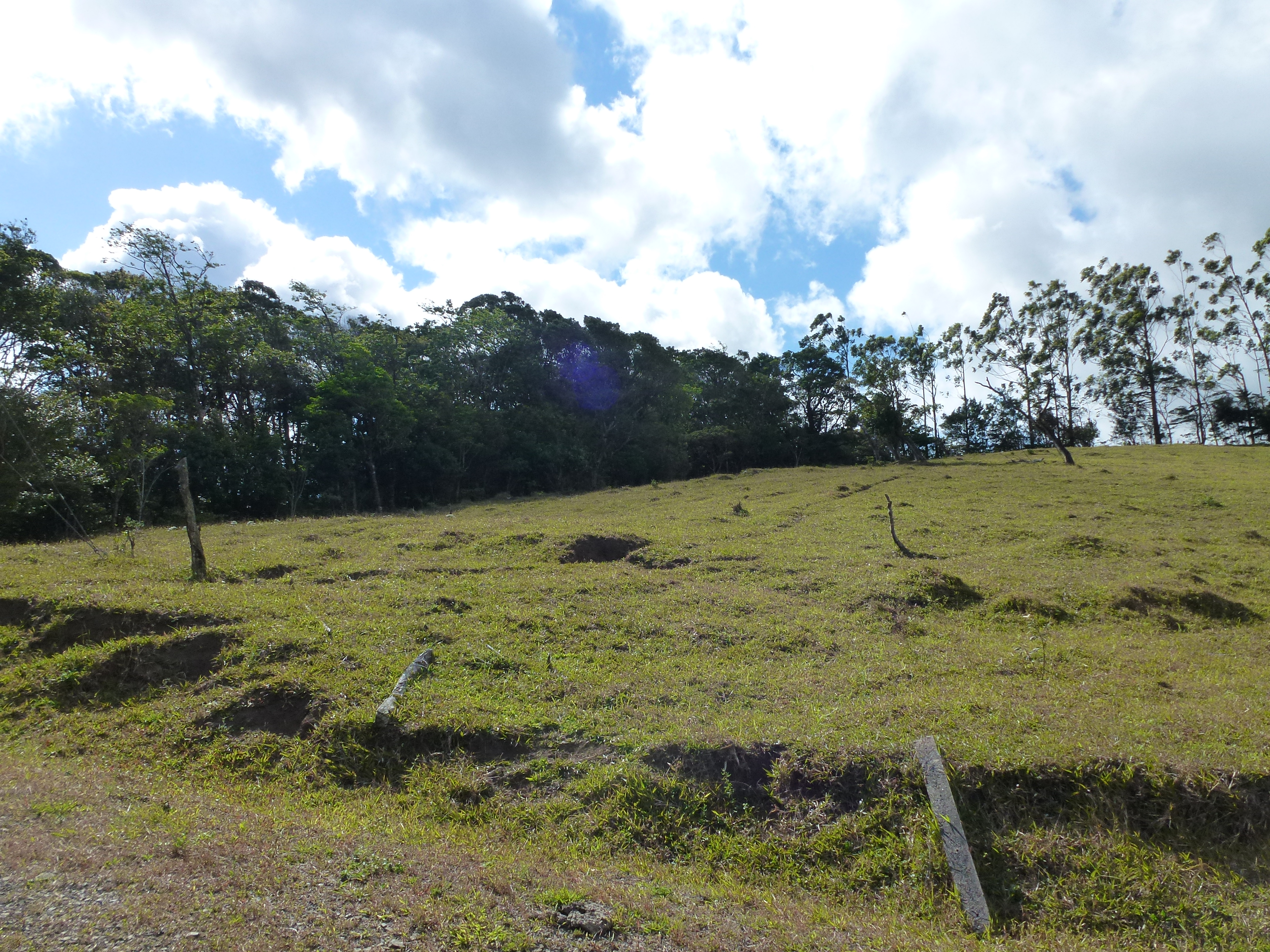 2.26 Acre Lot with Stunning Views Of Lake Arenal and Volcano in Nuevo Arenal  photo 10