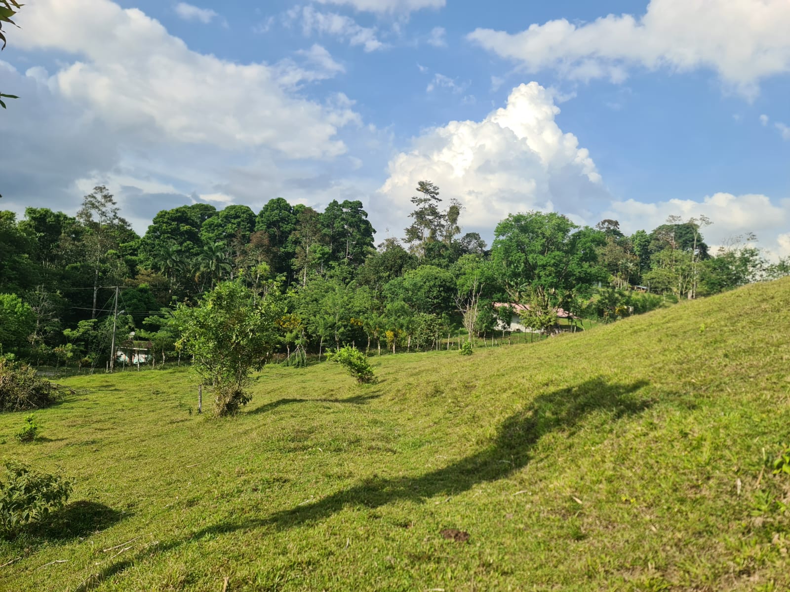 Gorgeous 50,372 m2 (12,4 acre) Farm In Cabanga, Guatuso photo 16