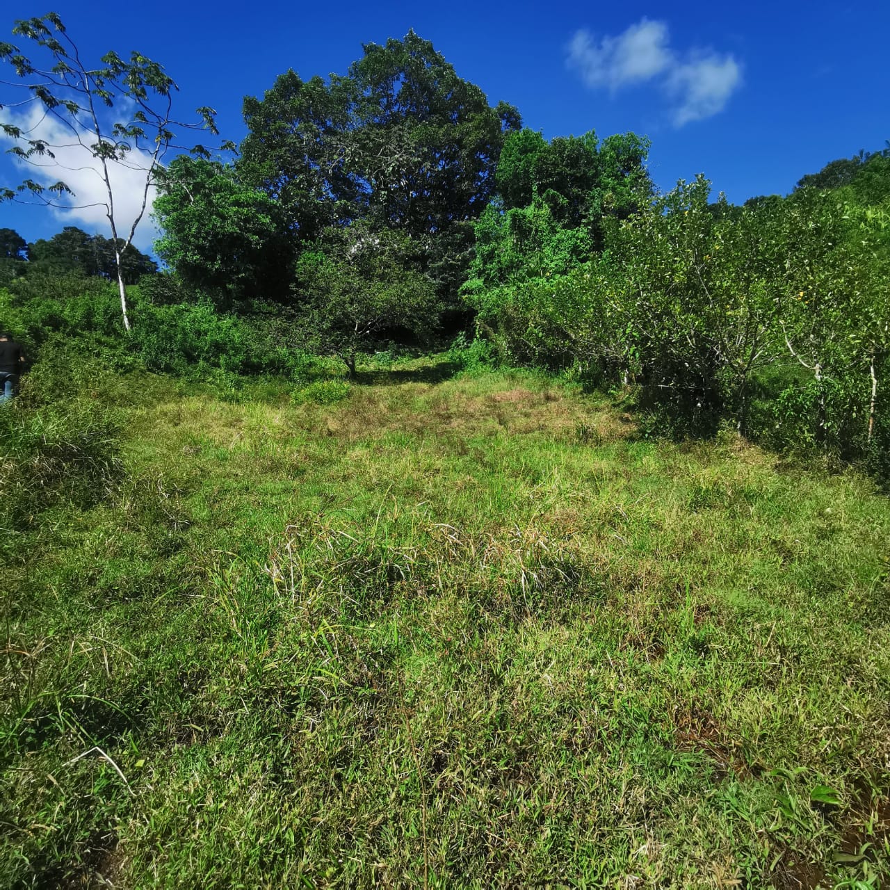 Exceptional 14,445 m² Lot in La Unión, Arenal – Views of Lake Arenal photo 14