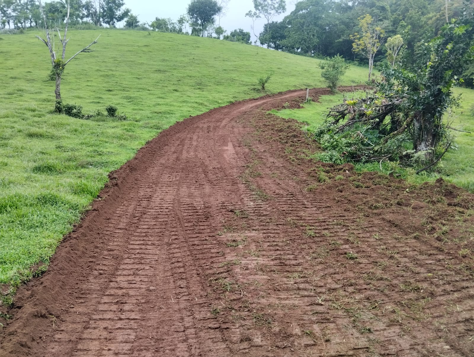 Gorgeous 50,372 m2 (12,4 acre) Farm In Cabanga, Guatuso photo 21