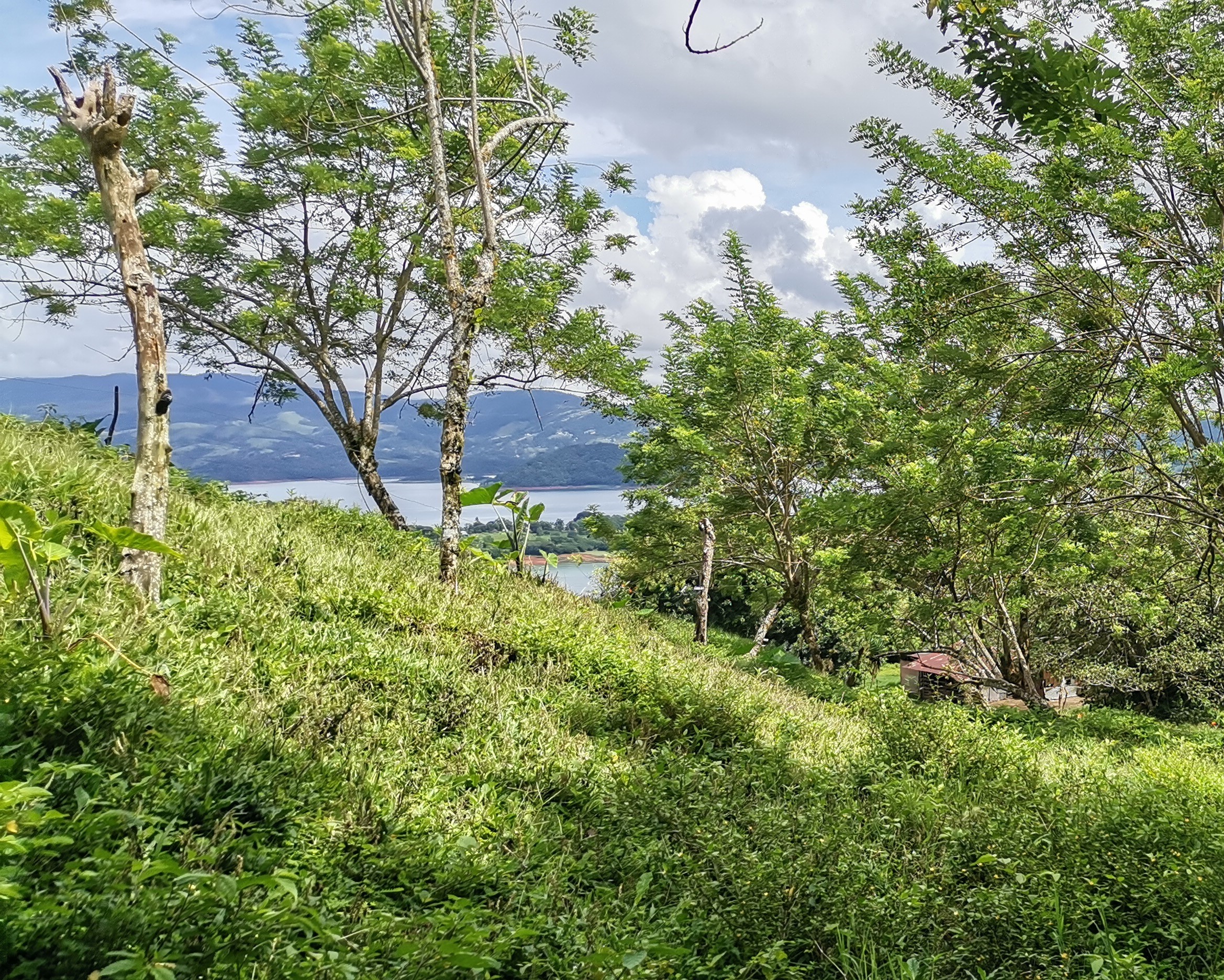 Magnificent 24,811m2 Lake and Volcano View Parcel with Huge Views in Tronadora photo 32