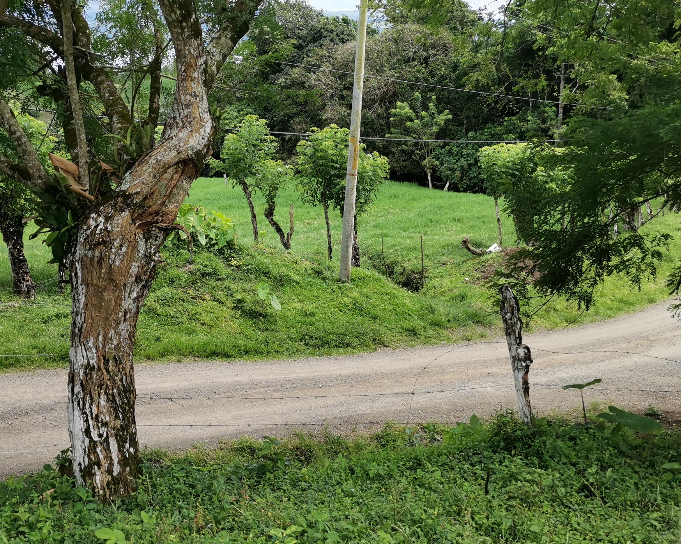 Magnificent 24,811m2 Lake and Volcano View Parcel with Huge Views in Tronadora photo 39