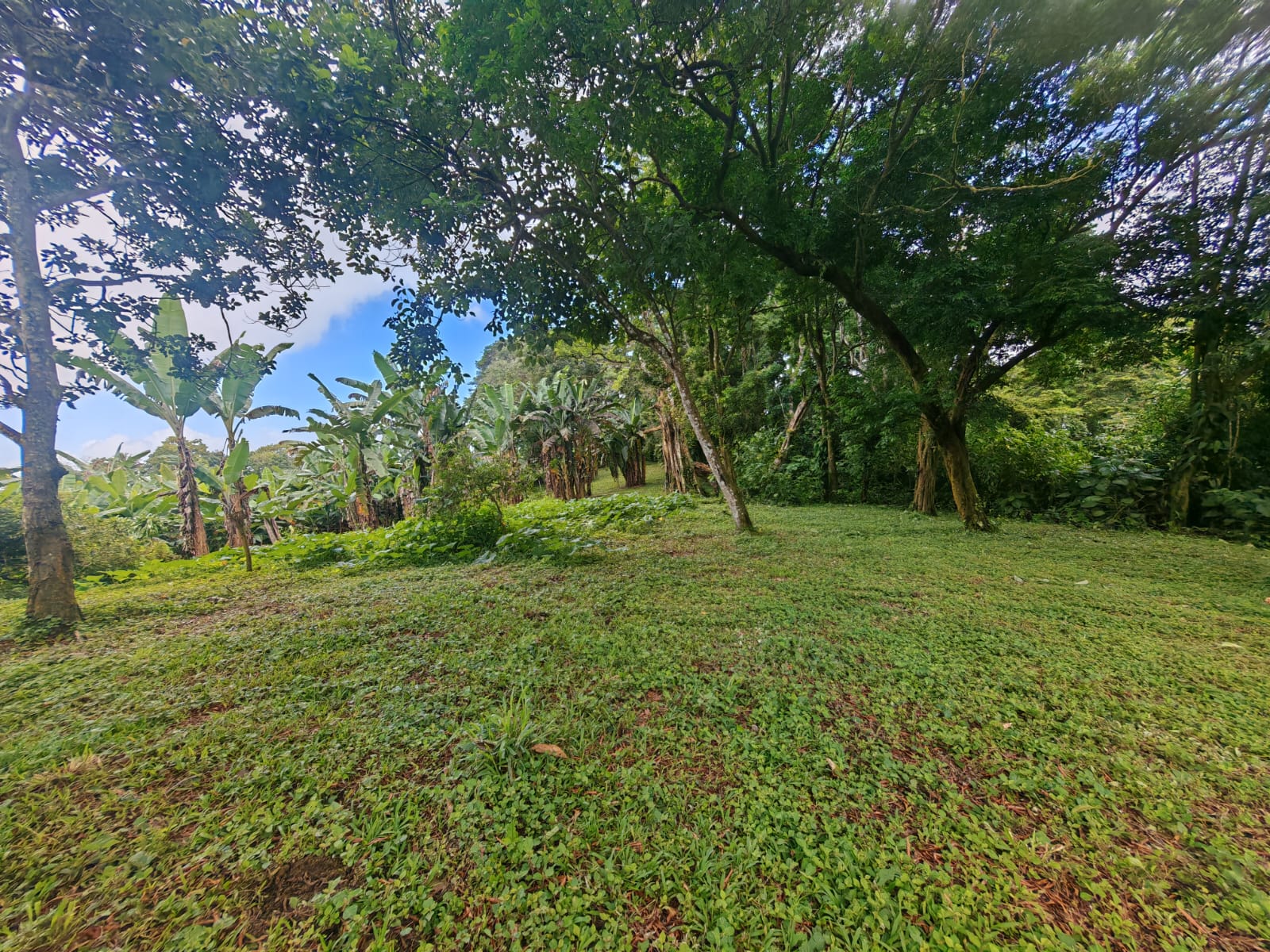 15,750 m² Lakefront Lot with Volcano Views, Fruit Trees & Direct Lake Access  photo 8