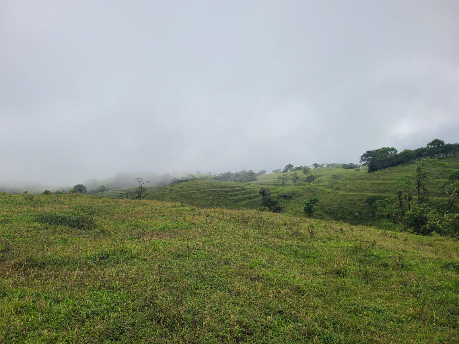 Spectacular 105-Hectare Lot with Lakes, Mountain Views, & Natural Resources  photo 14