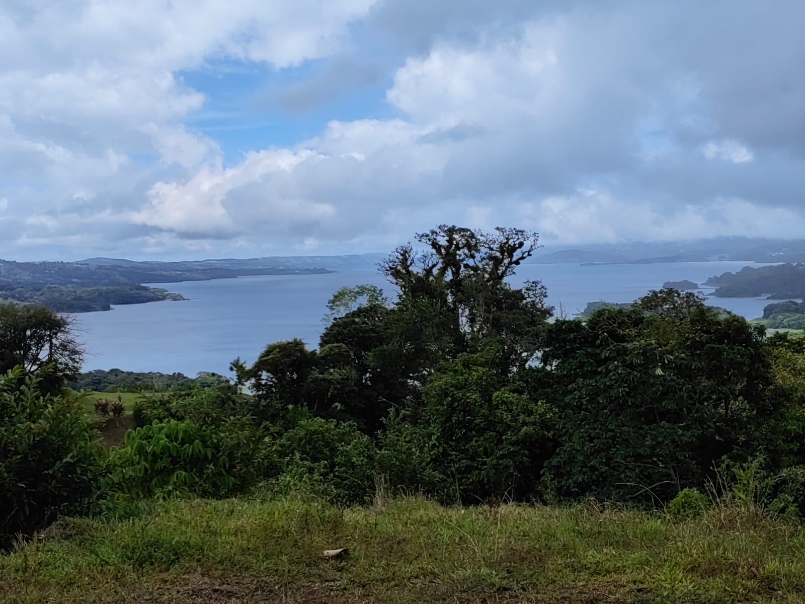 33,691 m² property with Amazing Views and Private Waterfall in La Union  photo 6